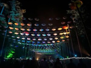 My first Electric Forest